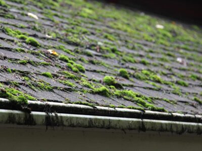 Abingdon roof cleaning