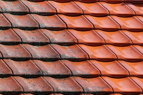 Roof Cleaner Abingdon