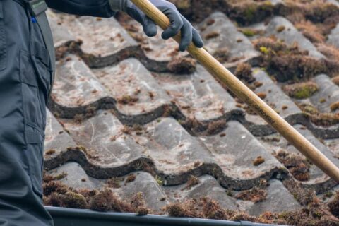 Roof Moss Removal Abingdon OX14