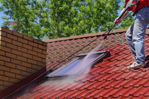 Roof Cleaning & Coating Abingdon