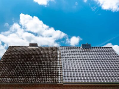 Abingdon conservatory roof cleaning