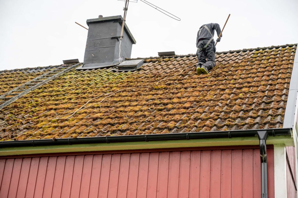 Roof moss removal Roof moss removal services Swindon
