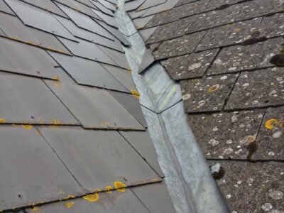 Abingdon roof moss remover